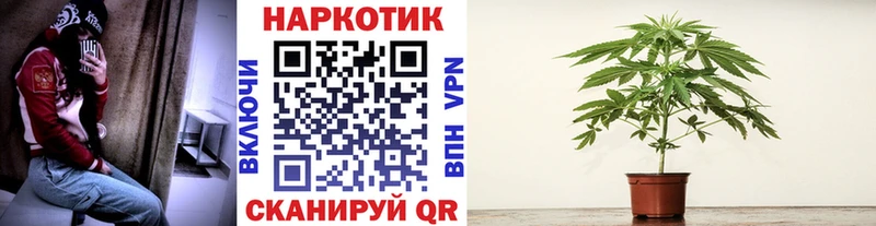Где можно купить наркотики Волгореченск СОЛЬ  КОКАИН  АМФЕТАМИН  МАРИХУАНА  Гашиш 
