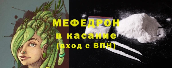ECSTASY Бородино