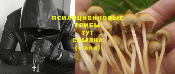 ECSTASY Бородино