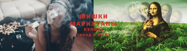 ECSTASY Бородино