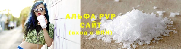 ECSTASY Бородино