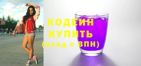 ECSTASY Бородино