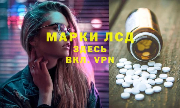 apvp Гатчина