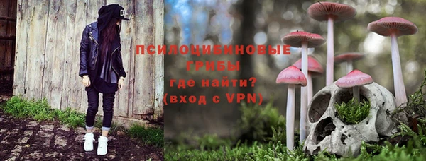 а пвп мука Галич
